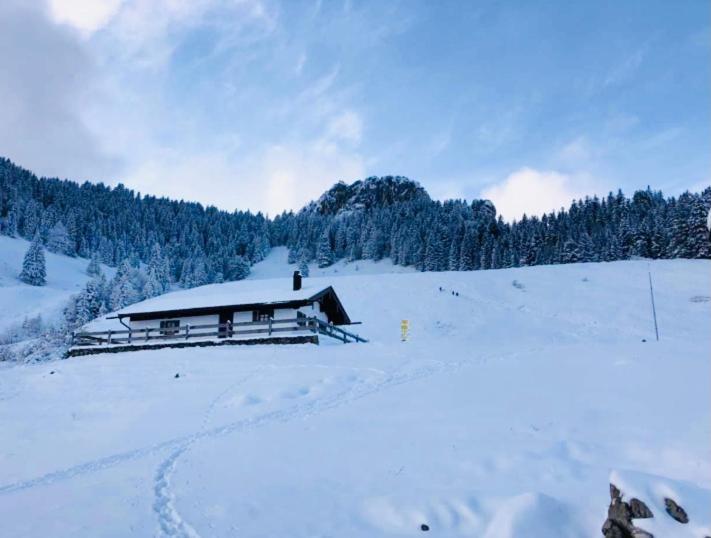 Ferienwohnung Draexl Garten Und Bergblick Nußdorf am Inn Dış mekan fotoğraf